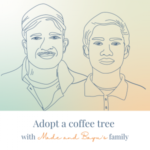 Adoption of a coffee tree from Made and Agus