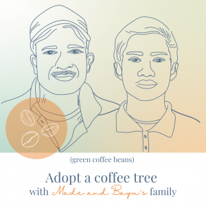 Adoption of a coffee tree from Made and Agus – green beans