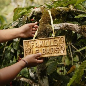 Wooden sign is hang on the coffee tree