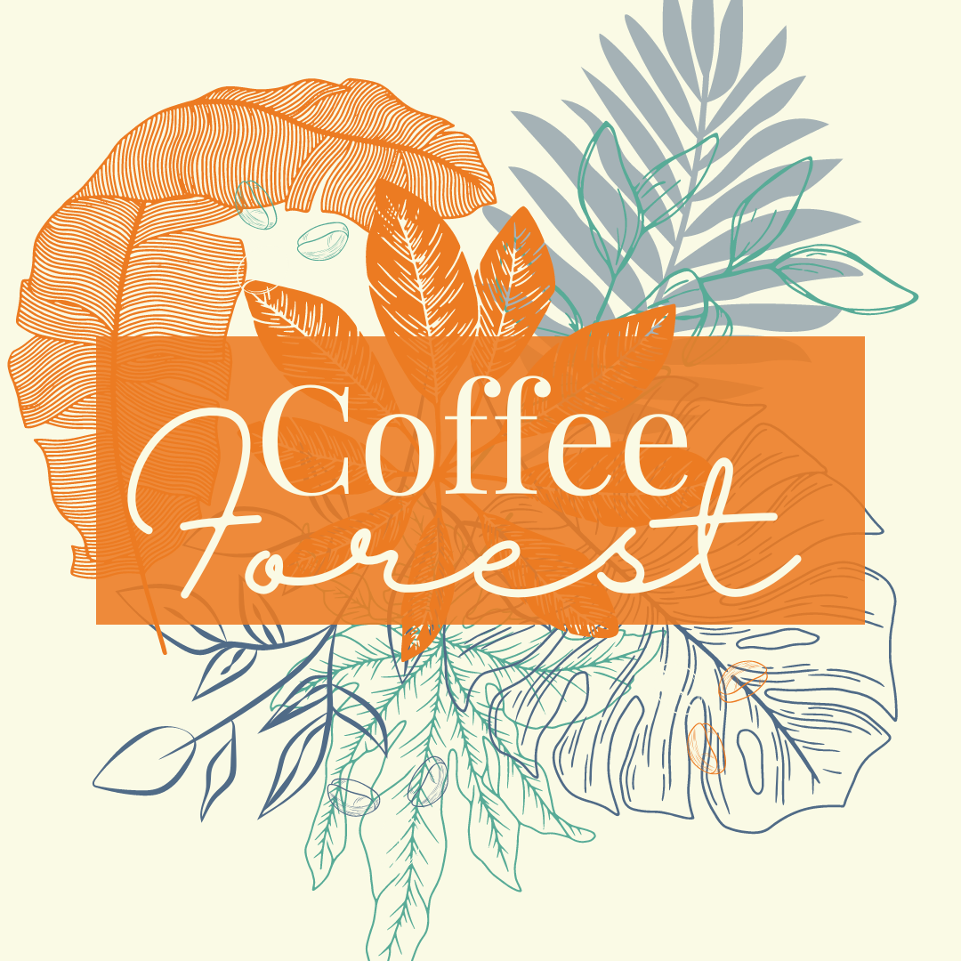 Read more about the article A future for coffee farming?