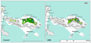 Bali today and in 2050 - Reduction of suitable land for coffee farming